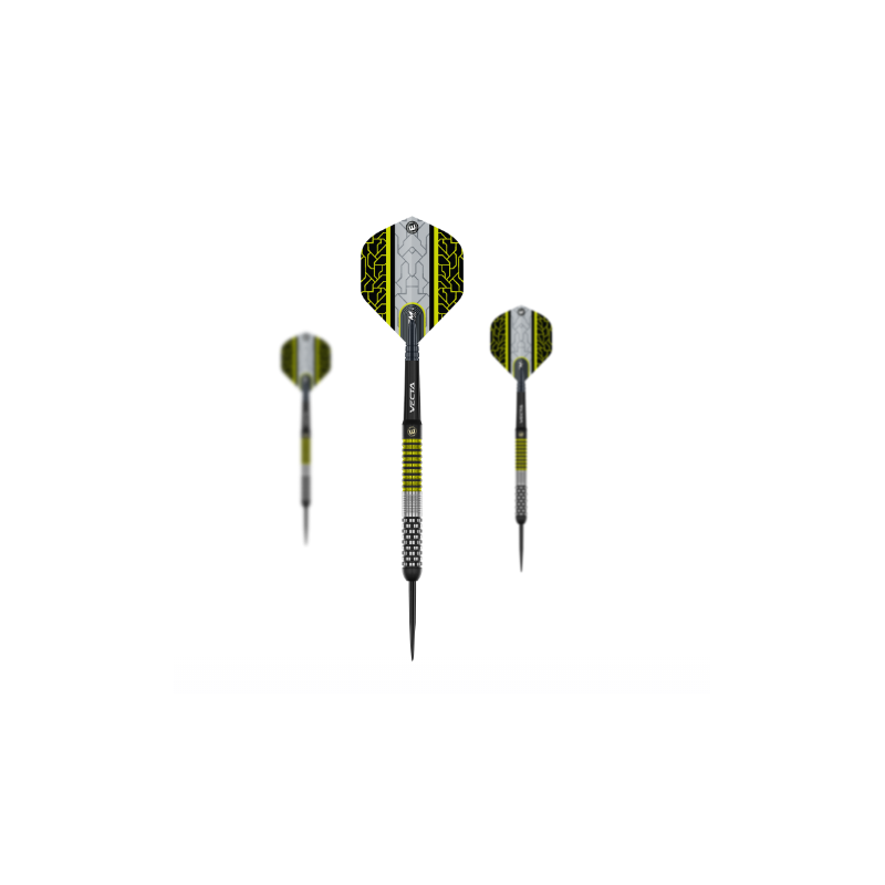 Fléchettes en acier Winmau Team 360 Cori Wiltshire - 24 g